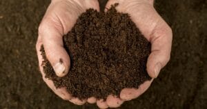 Build your soil