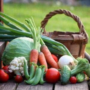 Vegetable harvest