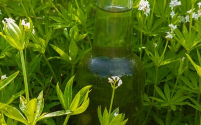 Woodruff syrup