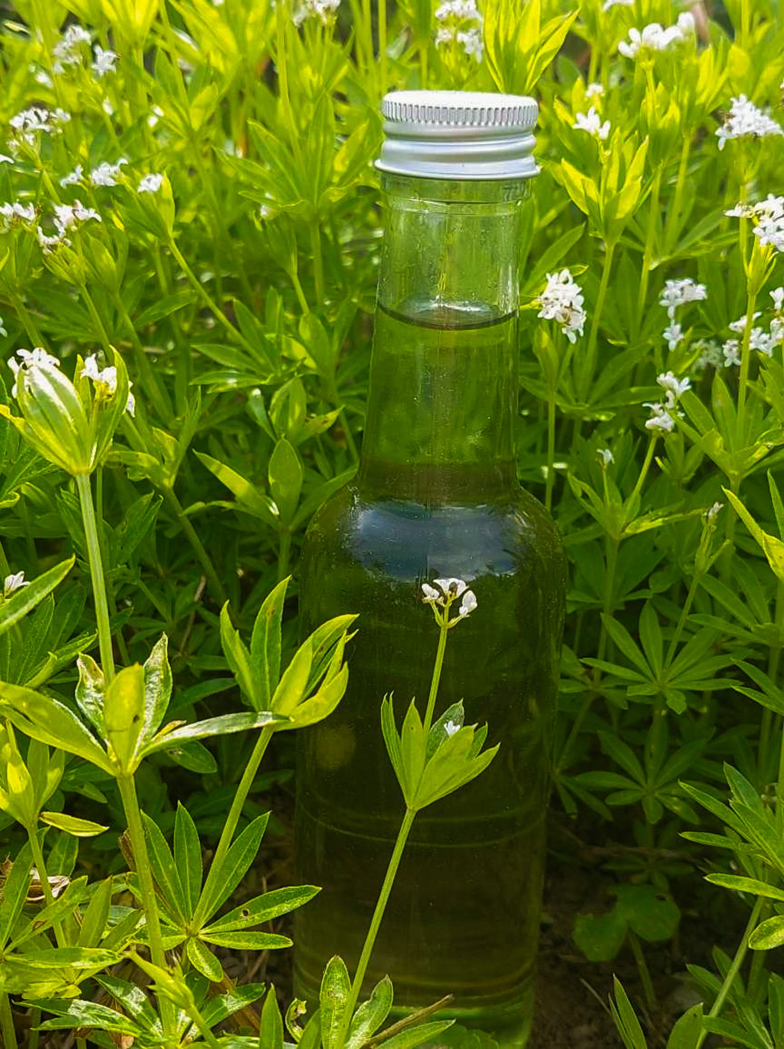 Woodruff syrup