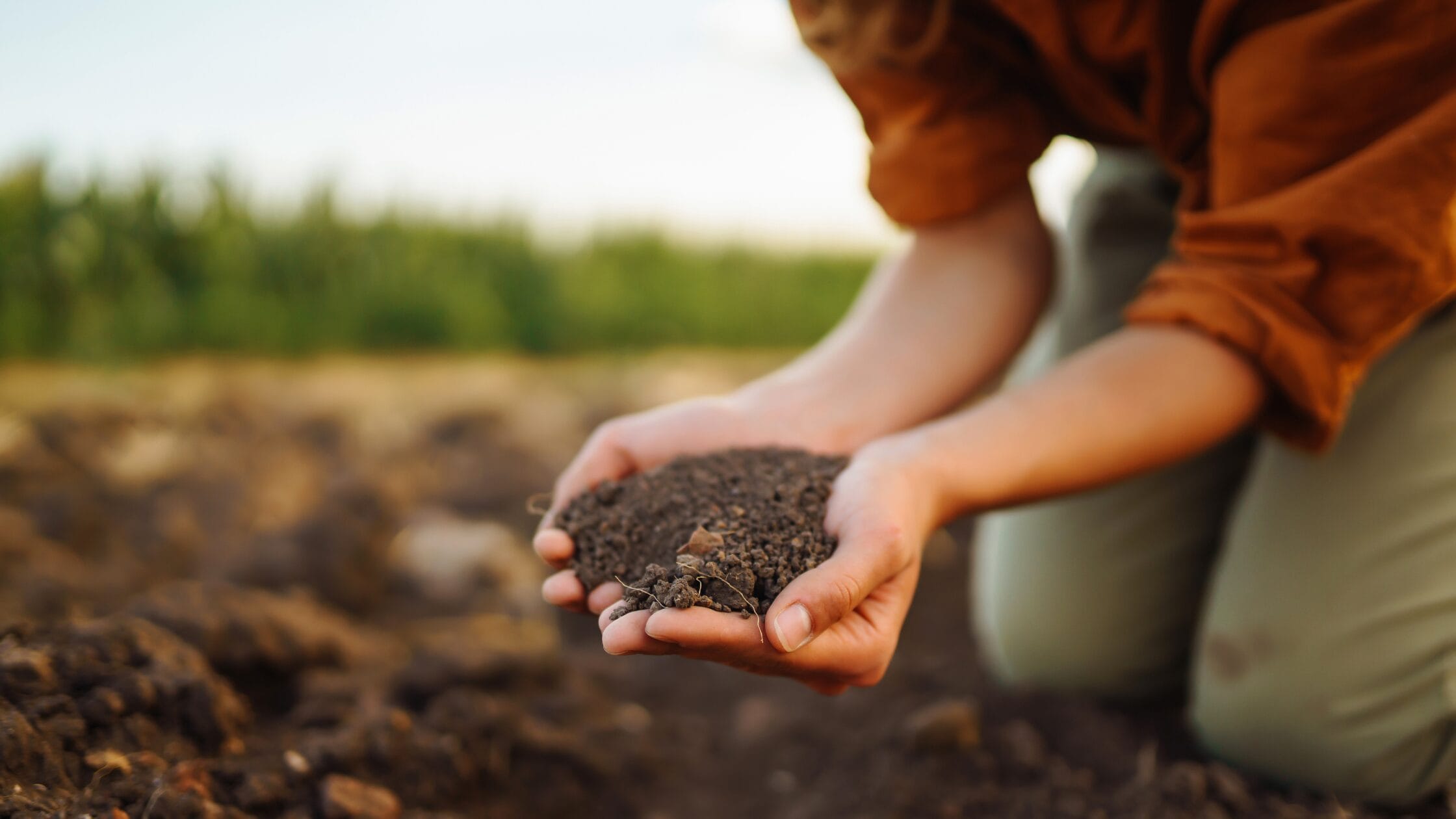 Soil types