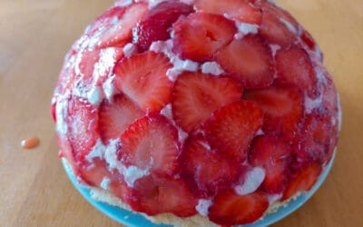 Strawberry Dome Cake