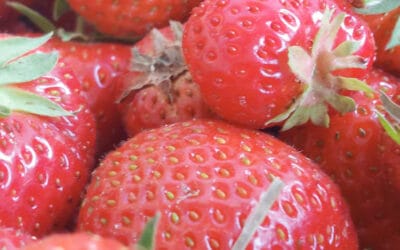 My favourite strawberry jams with a twist
