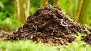 Natural fertilisers from animal: Manure heap