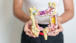 Natural fertilisers from humans: faeces