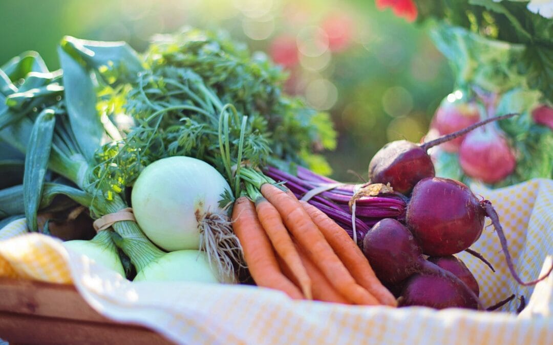 What vegetables to sow and plant in June