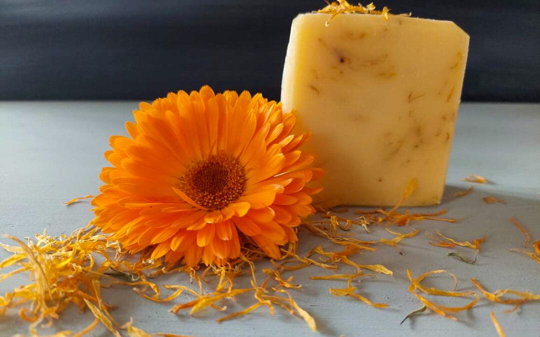 Calendula soap (Beginner’s recipe)