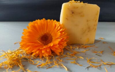 Calendula soap (Beginner’s recipe)