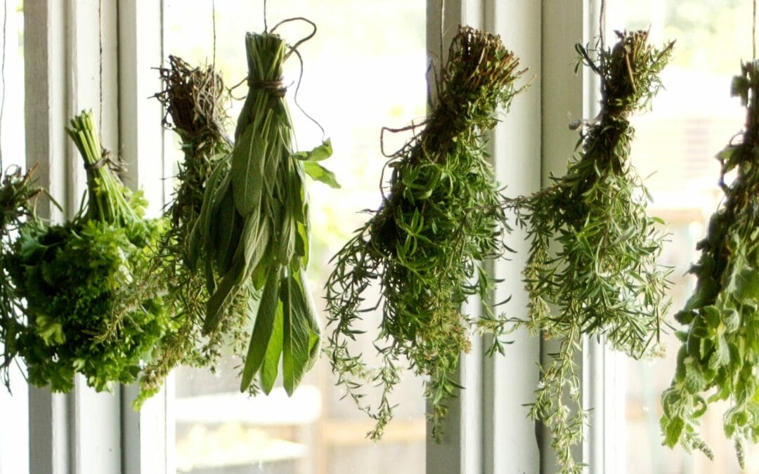 How to dry herbs