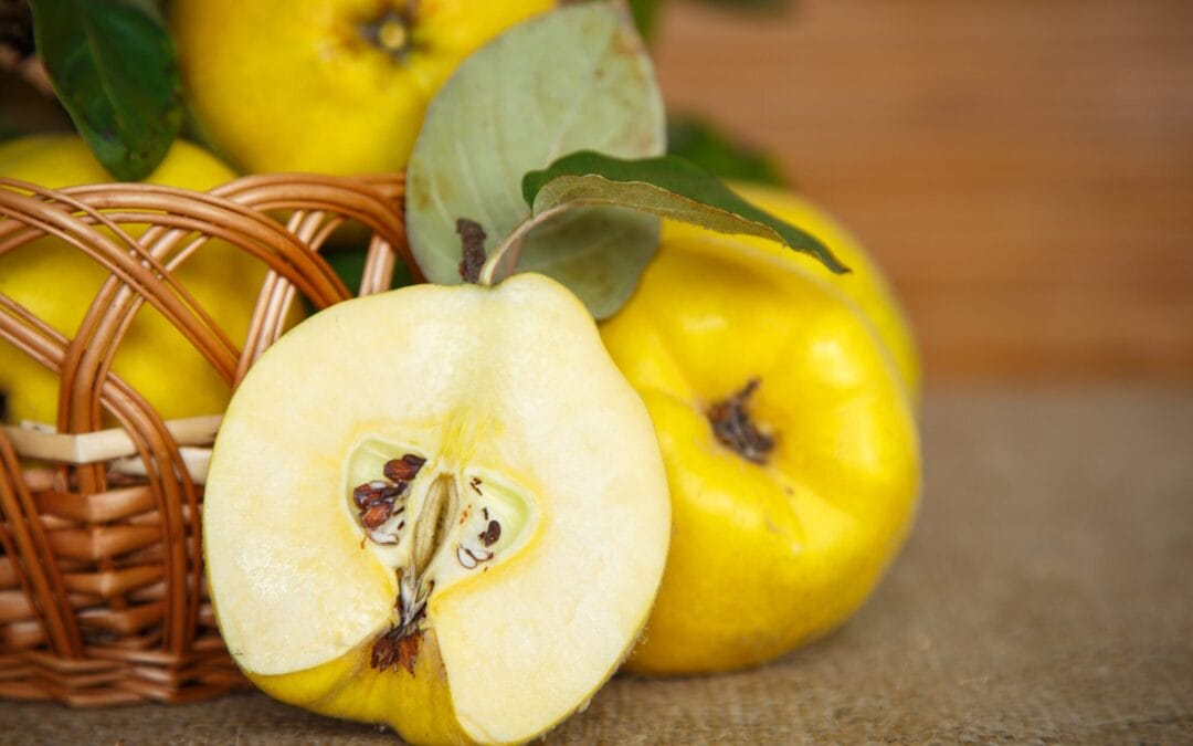 How to Preserve Quince: Easy Recipes for Beginners