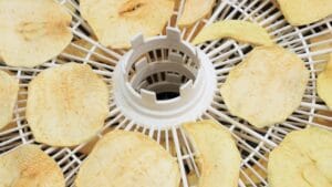 How to preserve quinces: drying