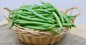 Easy vegetables for beginners: bush beans