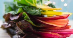 easy vegetables for beginners: swiss chard