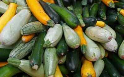 What to Sow and Plant in May: Growing Season’s Prime Planting Window
