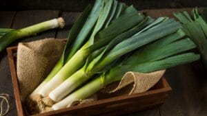 Seed-starting in January: summer leek