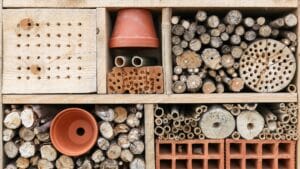 Garden task in January: build an insect hotel