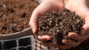 Pot soil