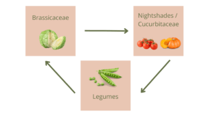 3-year crop rotation by plant family