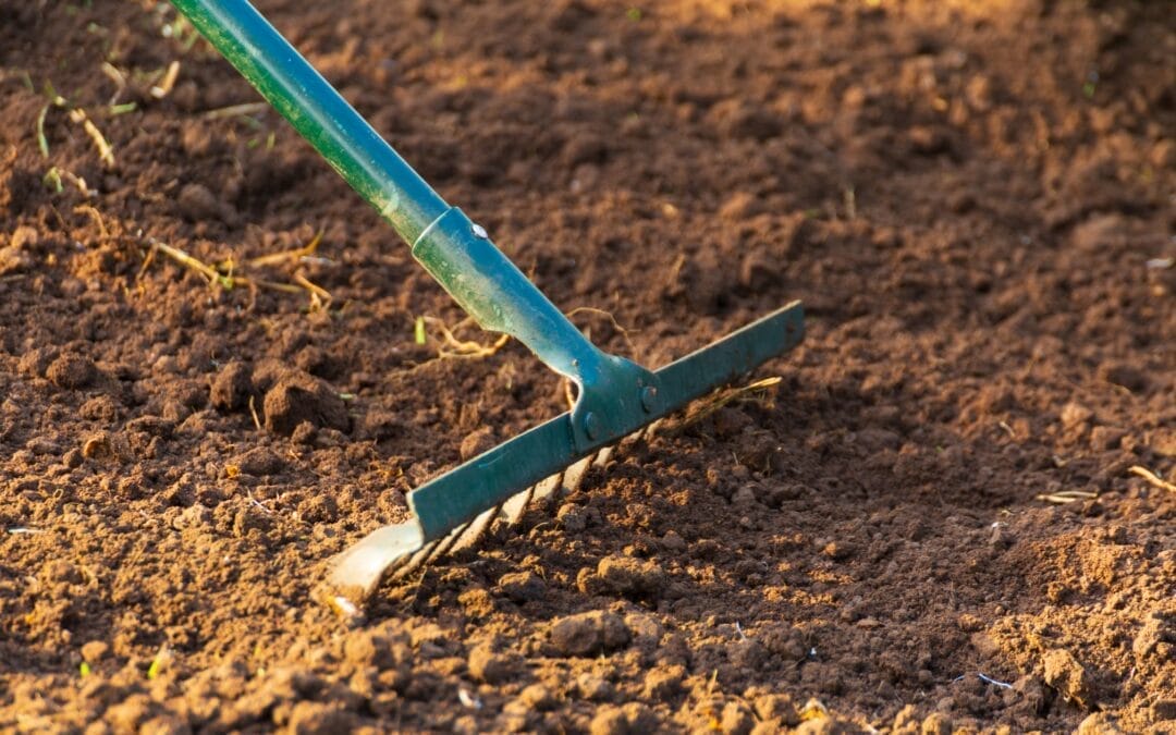 Awaken Your Garden: 11 Garden Tasks for March Success