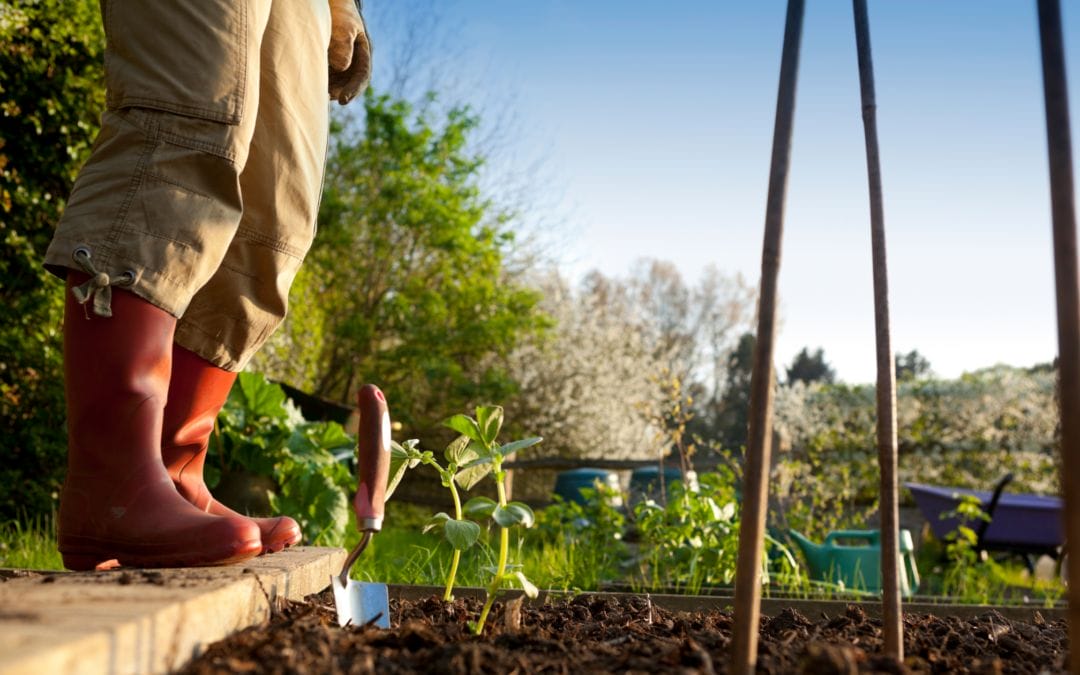 April’s Green Revolution: 10 Timely Garden Tasks to Transform Your Outdoor Space