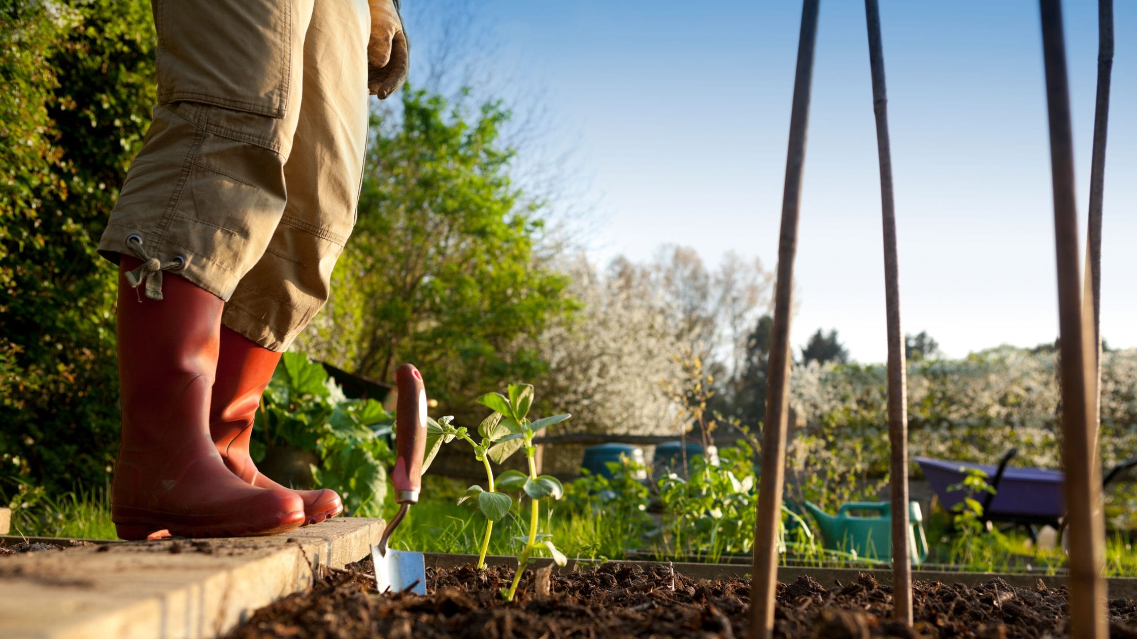 garden tasks in April